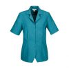 Variation picture for Teal