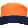 Variation picture for Orange