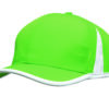 Variation picture for Green/White