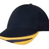 Variation picture for Navy/Gold
