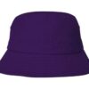 Variation picture for Purple