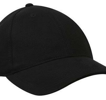 6PNL Regular Brushed Cotton Cap