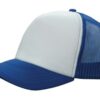Variation picture for White/Royal
