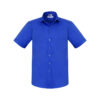 Variation picture for Electric Blue