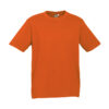 Variation picture for Fluoro Orange